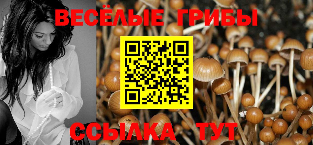 Псилоцибиновые грибы Psilocybe  Галлюциногенные грибы Psilocybine cubensis  Сочи  Вход с VPN 